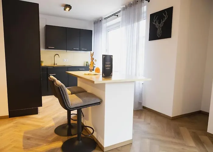 Stilvolle Stadtwohnung * Ντούισμπουργκ